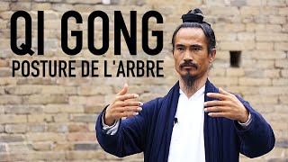 QI GONG  Posture de larbre [upl. by Uoliram]