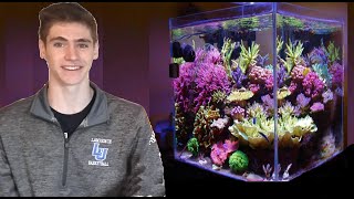 How To Set Up a Nano Reef in 5 Minutes [upl. by Yort]