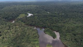 History of the Congo River [upl. by Suruat]