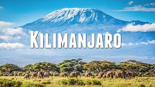 CLIMBING MOUNT KILIMANJARO [upl. by Eugor843]