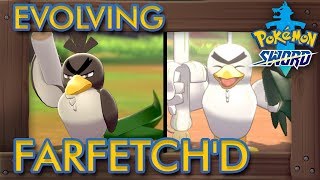 how to evolve farfetchd to sirfetchd in pokemon [upl. by Nomrah]