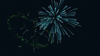 Fireworks animation [upl. by Sivrup395]