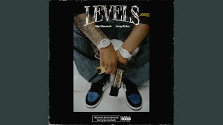 Levels feat Sunny Malton [upl. by Nicolea303]