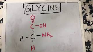 Glycine Structure  Amino Acid Basics [upl. by Inava]