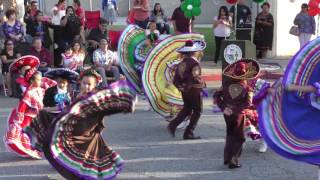 Cinco de Mayo Celebration [upl. by Kurt]