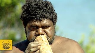 Didgeridoo Sound  Australian Instrument [upl. by Carlo]