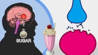 The Skinny on Obesity Ep 4 Sugar  A Sweet Addiction [upl. by Einnod]