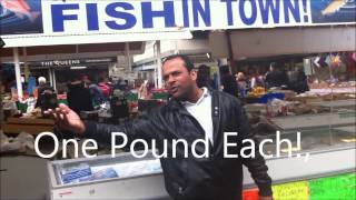 One 1 Pound Fish Song Video With Lyrics [upl. by Rory]