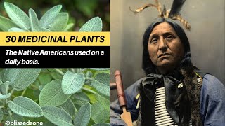 30 Medicinal Plants The Native Americans Used On a Daily Basis  Blissed Zone [upl. by Isied]