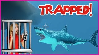 Trapped in a SHARK CAGE [upl. by Alimaj]