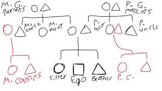 Introduction to Kinship Diagrams  Cultural Anthropology [upl. by Notsgnal391]