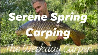 Spring carp fishing Broadlands Lake Hampshire Vlog ep16 tips and tricks [upl. by Sholes]