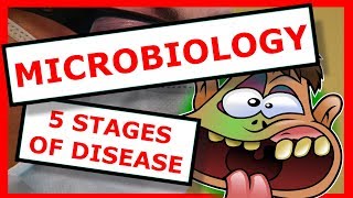 Microbiology The 5 Stages of Disease [upl. by Rudd]