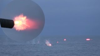 CIWS Gatling Gun amp Mk38 Chain Gun Open Fire On Target Boats [upl. by Veron]