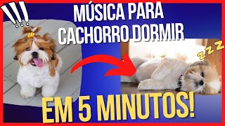 Música Para Acalmar Cachorro 🐶💤 12h de Musica [upl. by Xaviera996]