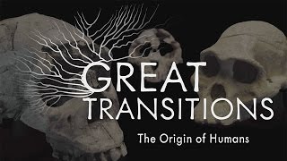 Great Transitions The Origin of Humans — HHMI BioInteractive Video [upl. by Udela]