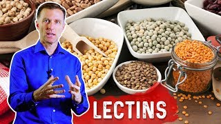 Lectins and Autoimmune Conditions [upl. by Odeen650]