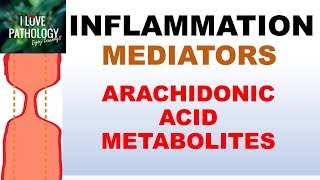 INFLAMMATION Part 5 Chemical Mediators ARACHIDONIC ACID METABOLITES [upl. by Ayihsa638]