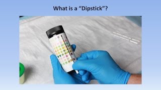 Interpretation of the Urinalysis Part 2  The Dipstick [upl. by Notwal610]