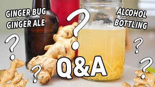 GINGER BUG amp GINGER ALE Questions Answered  Troubleshooting amp FAQs on Fermented Drinks [upl. by Saxen832]