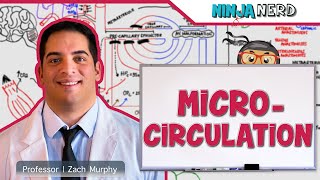 Cardiovascular  Microcirculation [upl. by Amend]