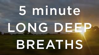 5 Minute Long Deep Breaths [upl. by Phyllida]