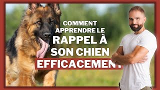 Comment apprendre le rappel a son chien efficacement [upl. by Aneeb]