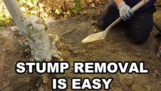 How to Remove a Tree Stump by Hand [upl. by Nnylaj]