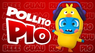 🐣 💛 Canción del Pollito Pío  Pulcino Pio 🐤  Los Moonies [upl. by Aralomo]