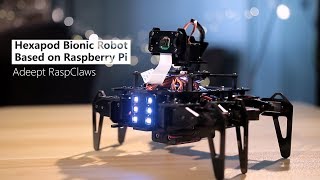 Hexapod bionic robot based on Raspberry Pi [upl. by Kleper]