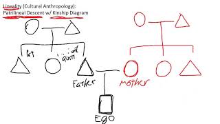 Introduction to Patrilineal Descent w Kinship Diagram  Cultural Anthropology [upl. by Alejandrina]