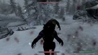 The Elder Scrolls V Skyrim Werewolf vs Werebear [upl. by Elyk]