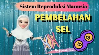 Sistem Reproduksi Pada Manusia Kelas 9 SMP Part1 Pembelahan Sel [upl. by Wyatan]