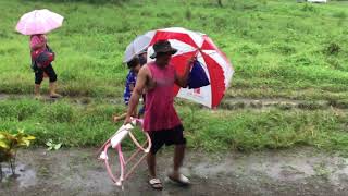 Typhoon Odette Dec 16 2021  1130 AM  Ormoc City Leyte Philippines [upl. by Nemzaj]