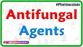 Antifungal agents Pharmacology  Amphotericin B Usmle  Fmge Neet pg [upl. by Aryk144]