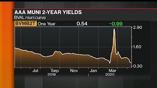 HighQuality Munis the Way to Go in Virus Hit Market Neuberger Bermans Iselin [upl. by Ted]