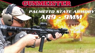 9mm AR15  PSA GX9 REVIEW [upl. by Ennailuj]