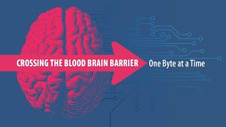 Crossing the Blood Brain Barrier One Byte at a Time [upl. by Rame]