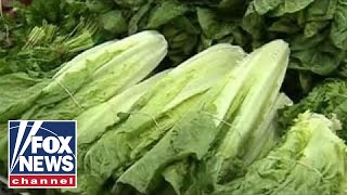 E Coli outbreak linked to romaine lettuce [upl. by Marnie708]