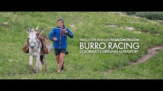 Burro  Salomon TV [upl. by Ardnuaed]