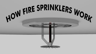 How fire sprinkler systems work 3D Animation [upl. by Bainbrudge459]