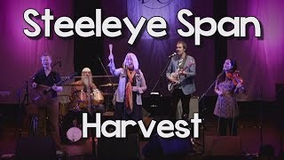 Steeleye Span  Harvest Live [upl. by Annaegroeg]