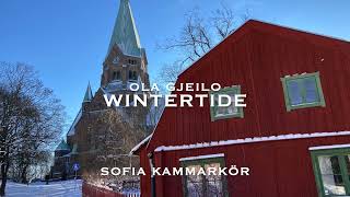 Sofia Kammarkör WINTERTIDE arr Gjeilo [upl. by Ahsennod]