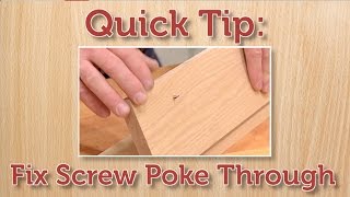 Quick Tip Fix a Protruding Screw [upl. by Rolo]