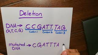 How to Mutations Insertion Deletion Substitution for High School Biology Students [upl. by Aleras]