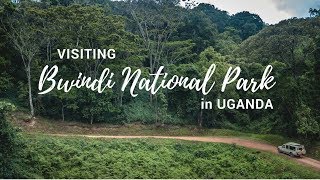 Exploring Bwindi Impenetrable National Park  Gorilla Safari Lodge  Uganda [upl. by Geraud]