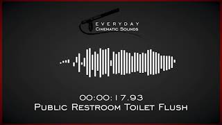 Public Restroom Toilet Flush  HQ Sound Effects [upl. by Anawed]