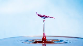 How to Do Water Drop Photography [upl. by Barn]