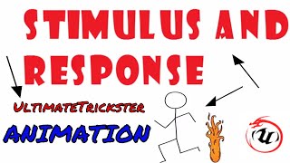 STIMULUS AND RESPONSE ANIMATION🐉🐉 [upl. by Suaeddaht]