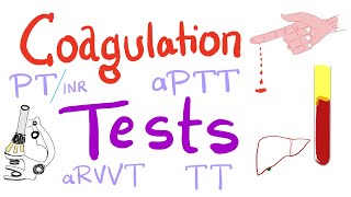 Coagulation Tests  PT aPTT TT Fibrinogen Mixing Studies [upl. by Gorges496]